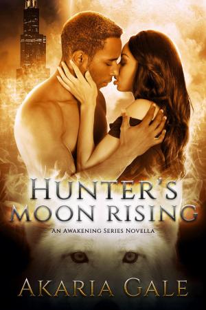 Cover of the book Hunter's Moon Rising by Laura Oneale
