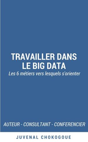Cover of the book Travailler dans le Big Data - les 6 métiers vers lesquels s'orienter by Pamela S Thibodeaux