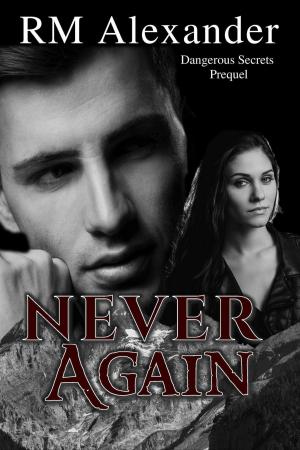 Cover of the book Never Again by John Mayer