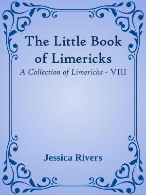 Book cover of The Little Book of Limericks