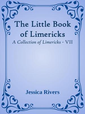 Cover of the book The Little Book of Limericks by Kathleen Gilles Seidel