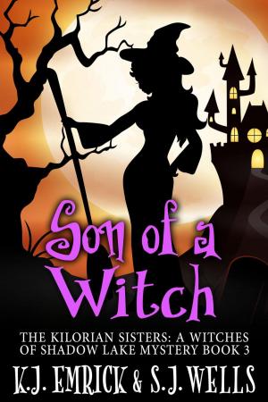 Cover of the book Son of a Witch by Kathrine Emrick