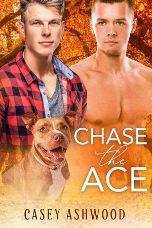 Cover of Chase the Ace