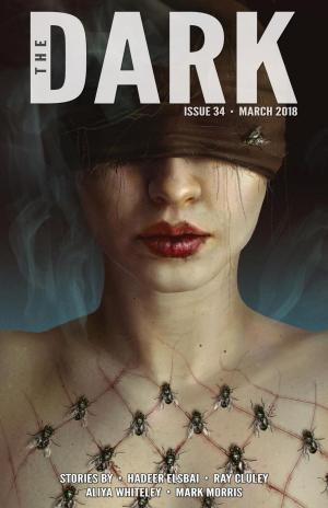 Book cover of The Dark Issue 34