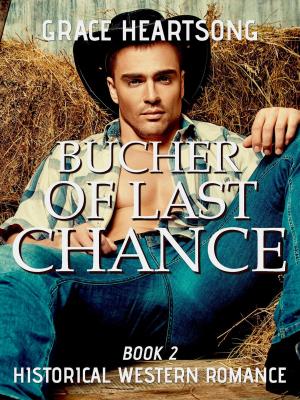 Cover of Historical Western Romance: Butcher Of Last Chance