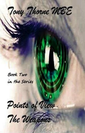 Cover of the book Points of View - The Weapons by Allison B. Hanson