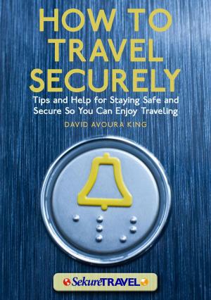 Cover of the book How to Travel Securely by Sandrine Etienne