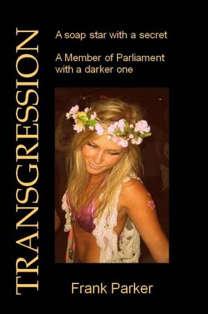 Cover of the book Transgression by Katie Bryan