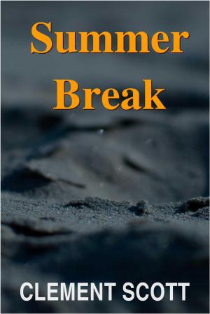 Book cover of Summer Break