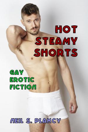 Cover of the book Hot Steamy Shorts by Neil S. Plakcy
