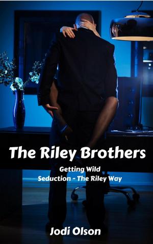 bigCover of the book The Riley Brothers by 