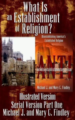Cover of the book What Is an Establishment of Religion? (Illustrated Version) by N. L. Calder