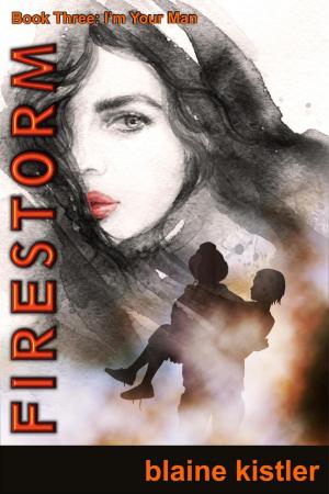 Cover of the book Firestorm by CJ Paradise