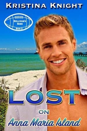 Book cover of Lost on Anna Maria Island