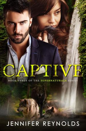 Cover of the book Captive by Linda Holeman