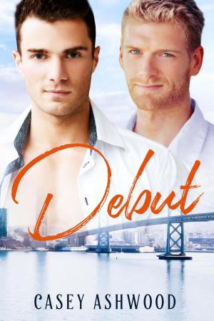 Cover of the book Debut by D.E. Lorrin