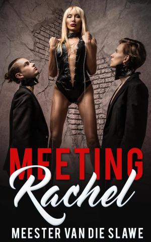 Cover of Meeting Rachel