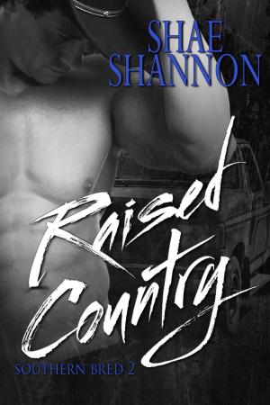 Cover of the book Raised Country by Denise Domning