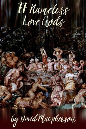 Book cover of 77 Nameless Love Gods