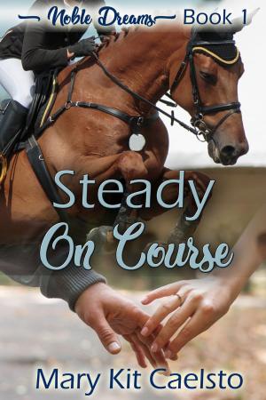 bigCover of the book Steady on Course by 