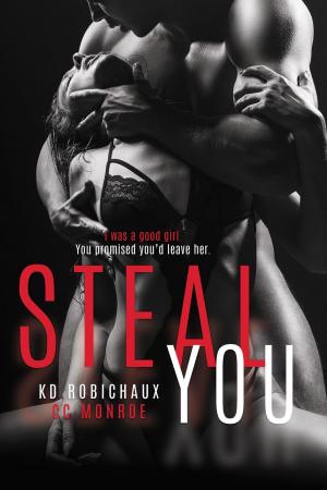 Book cover of Steal You