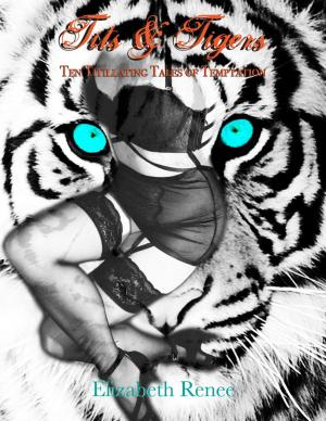 Cover of the book Tits & Tigers - Ten Titillating Tales of Temptation by Richard Onebamoi