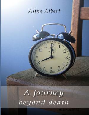 Cover of the book A Journey Beyond Death by Oluwagbemiga Olowosoyo