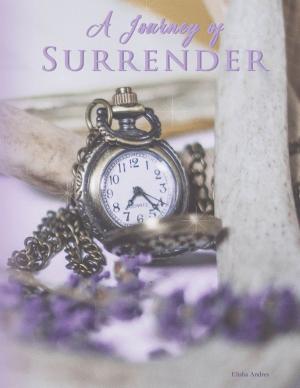 Cover of the book A Journey of Surrender by J.D Evies