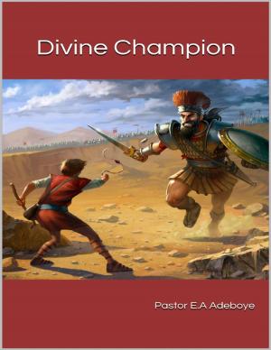 Cover of the book Divine Champion by Susan Hart