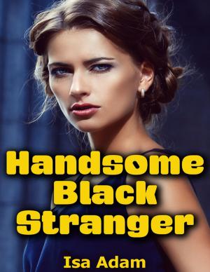 Book cover of Handsome Black Stranger