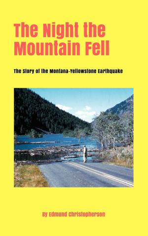 Book cover of The Night the Mountain Fell