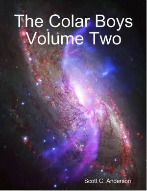 Book cover of The Colar Boys Volume Two
