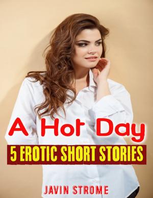 Cover of the book A Hot Day: 5 Erotic Short Stories by J Martin