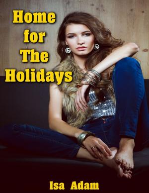 Cover of the book Home for the Holidays by Joe Brooks