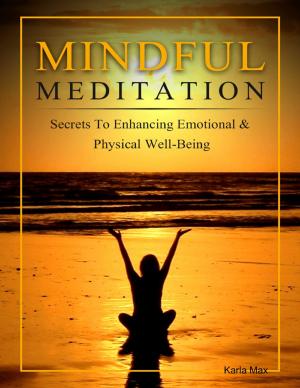 Cover of the book Mindful Meditation - Secrets to Enhancing Emotional & Physical Well-Being by William Liu, Patti Liu