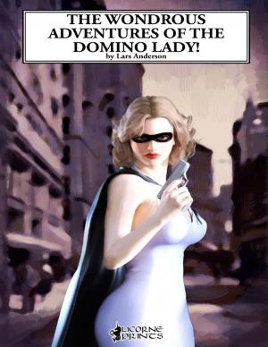 Book cover of The Wondrous Adventures of the Domino Lady!