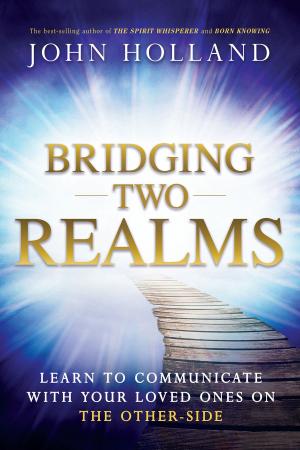 Book cover of Bridging Two Realms