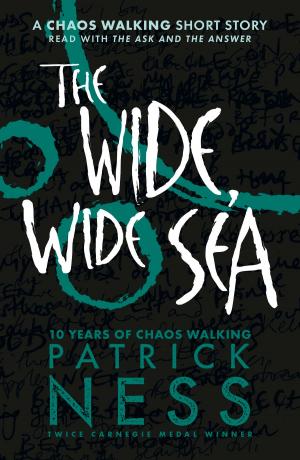 Cover of the book The Wide, Wide Sea by Megan McDonald