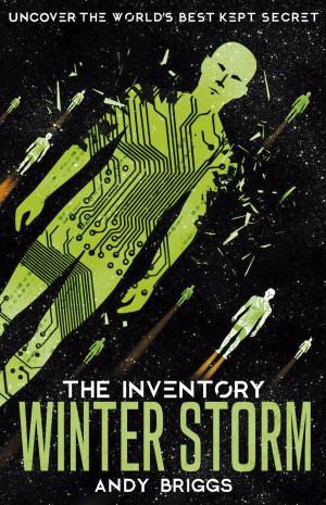 Cover of the book The Inventory 4: Winter Storm by Gareth Edwards