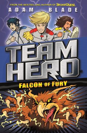 Book cover of Falcon of Fury