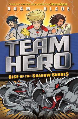 Book cover of Rise of the Shadow Snakes