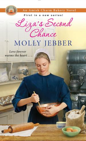Cover of the book Liza's Second Chance by julie smith