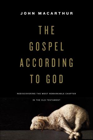 Cover of the book The Gospel According to God by Tim Chester