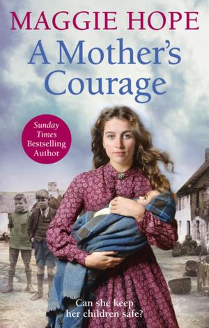 Cover of the book A Mother’s Courage by Imelda Burke