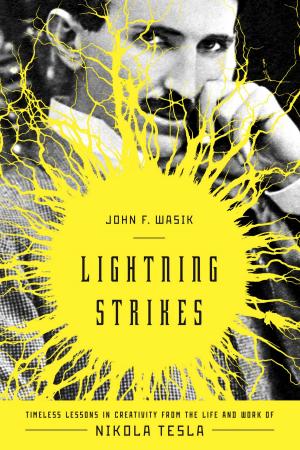 Cover of the book Lightning Strikes by Dr. G. H. Bennet, PhD, Bombardier Walter Jones, Peter Lovstrom
