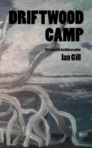 Cover of the book Driftwood Camp by Shannon Lynn