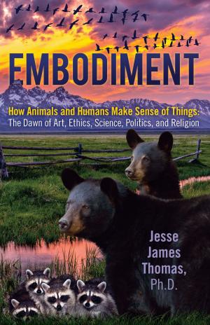Cover of the book Embodiment, How Animals and Humans Make Sense of Things: The Dawn of Art, Ethics, Science, Politics, and Religion by Cheryl Glaiser