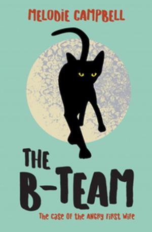 Cover of the book The B-Team: The Case of the Angry First Wife by Shannon Stewart