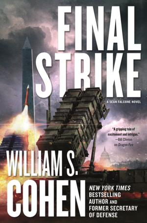 Cover of the book Final Strike by Michael de Larrabeiti