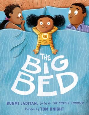 Cover of the book The Big Bed by Ava Dellaira